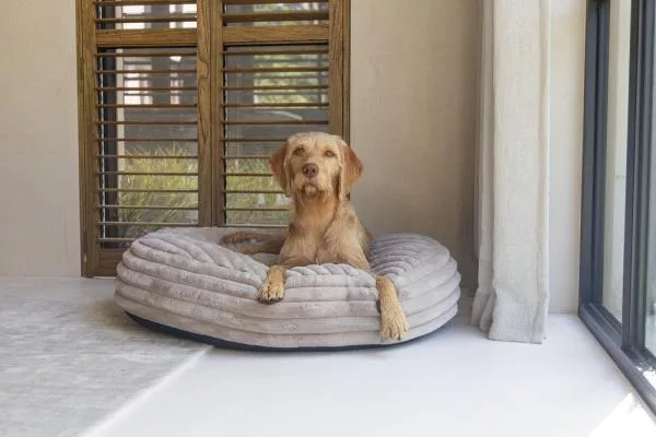 Kuschelplatz Reza - Farbe beige